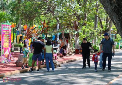 WhatsApp Image 2025-11-25 at 10.37.40 PM